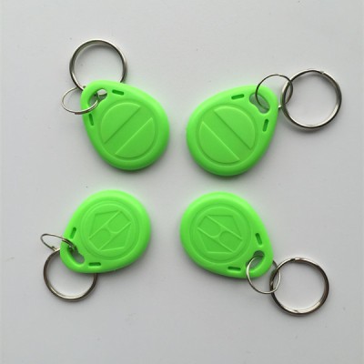 125KHZ TK4100 Read Only RFID ABS KeyFob